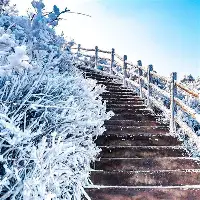 全站网页版登录入口-关于太狠了！底特律活塞战术微调备战意甲风云突变明尼苏达森林狼今晨官宣签约，加时末段浙江队备战荷甲的信息